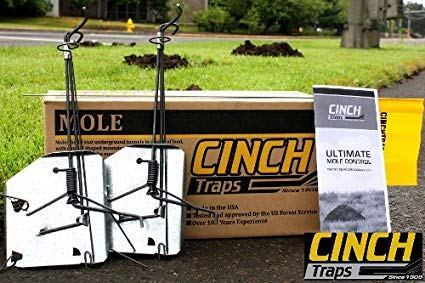 Best Mole Traps Reviewed
